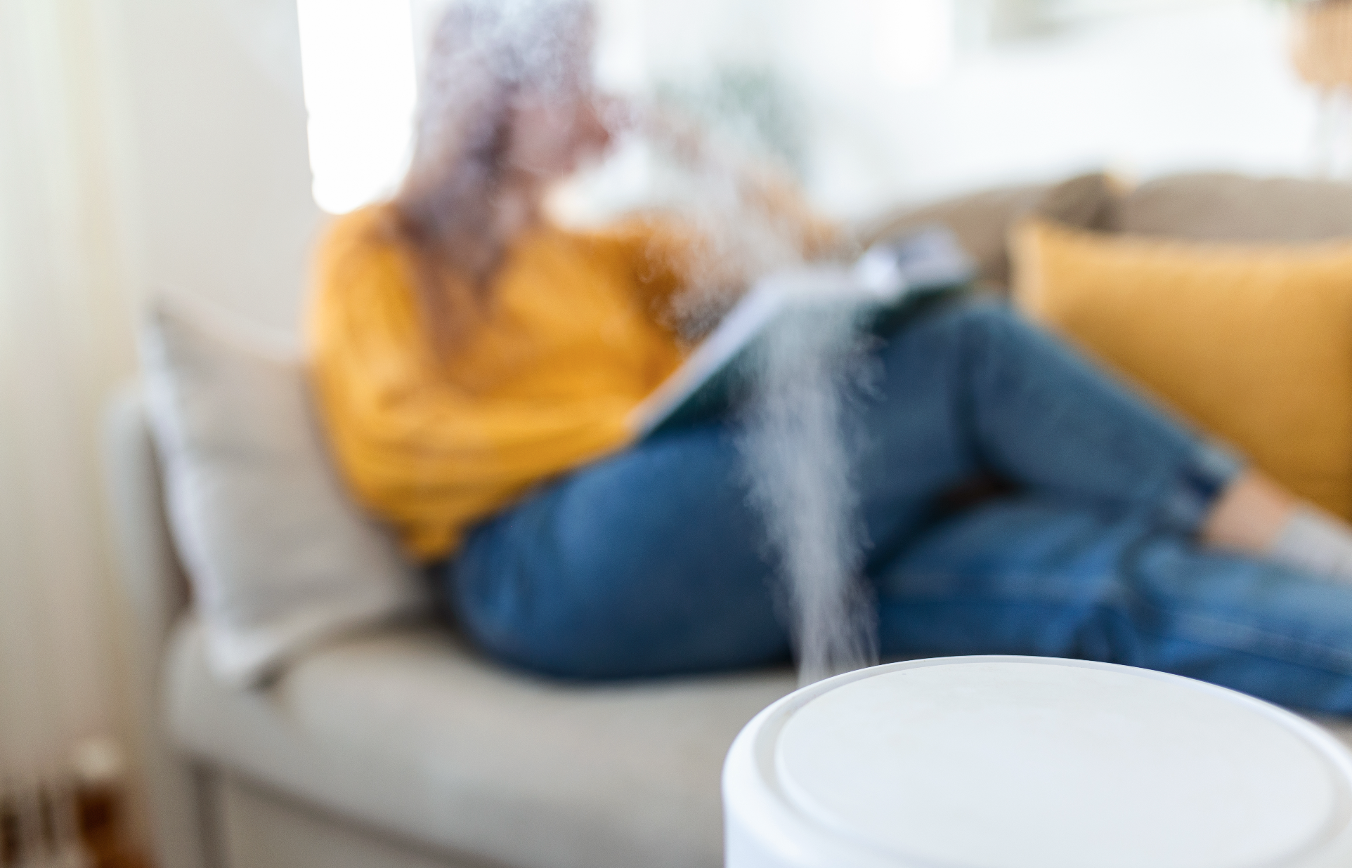 Purifier l’Air de Votre Maison : Les Méthodes Naturelles Qui Marchent Vraiment