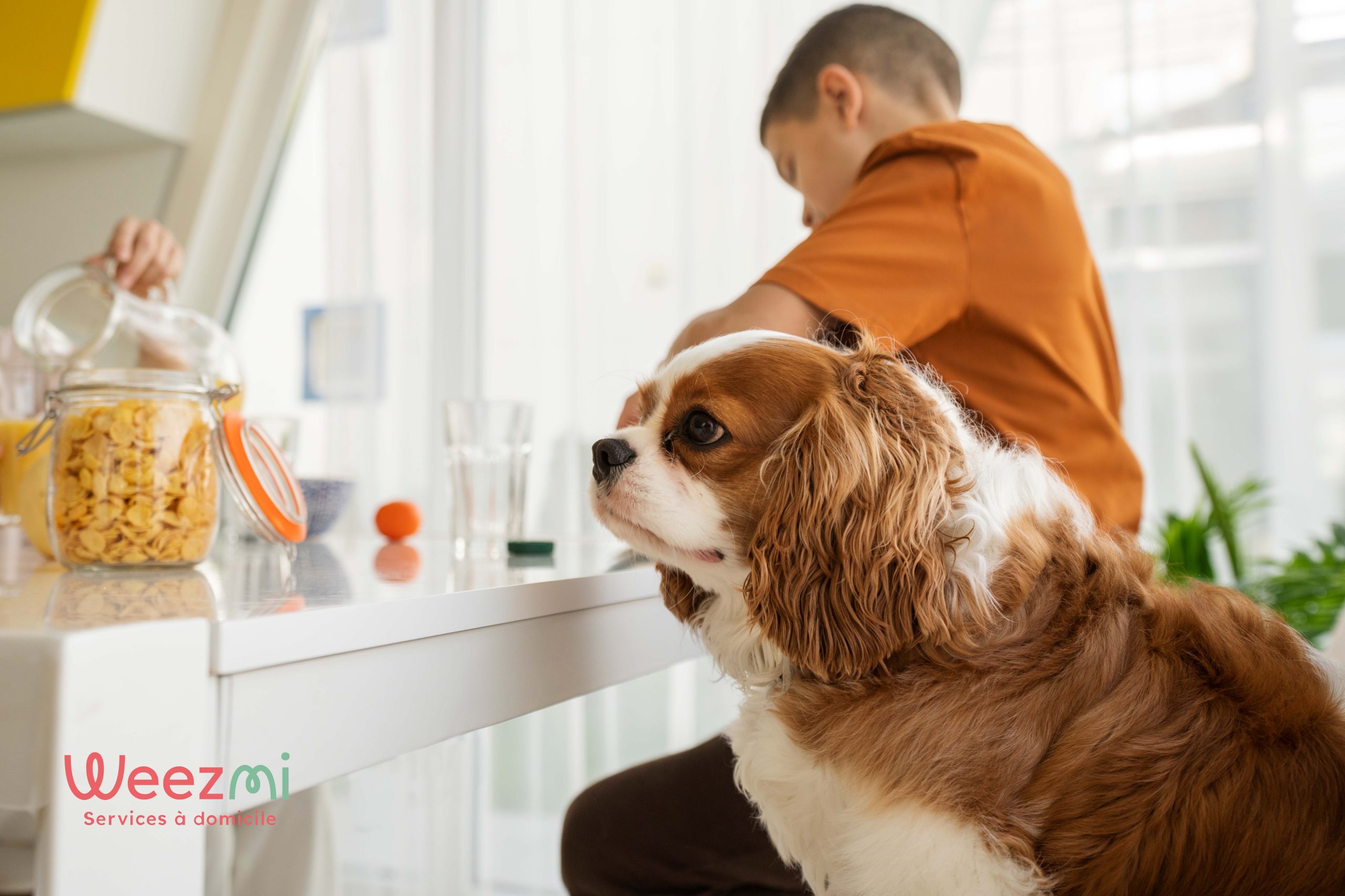 Ménage et animaux de compagnie : comment garder une maison propre au quotidien ?